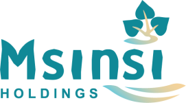 Msinsi-Logo-2024